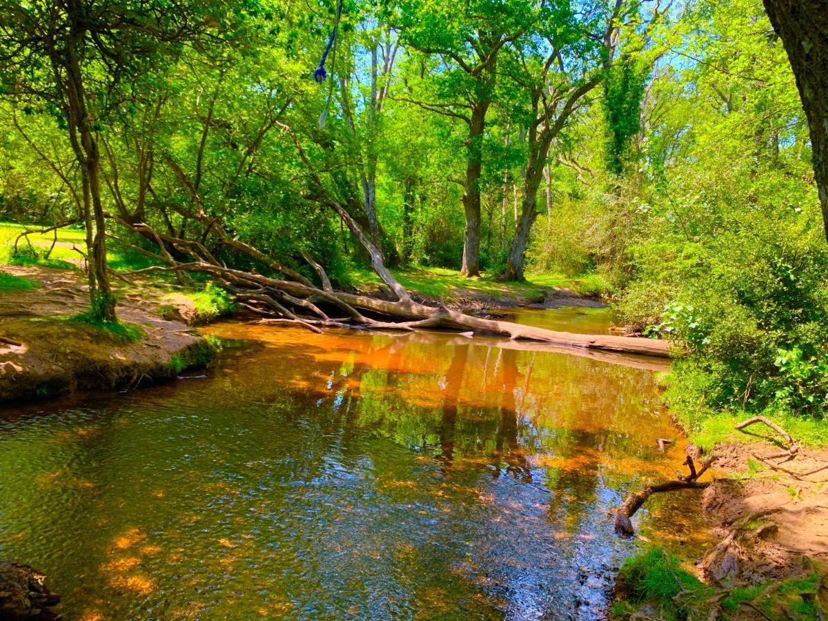 Forest Haven Sway Eksteriør billede