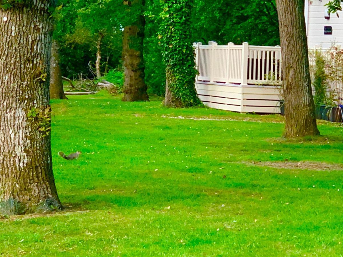Forest Haven Sway Eksteriør billede