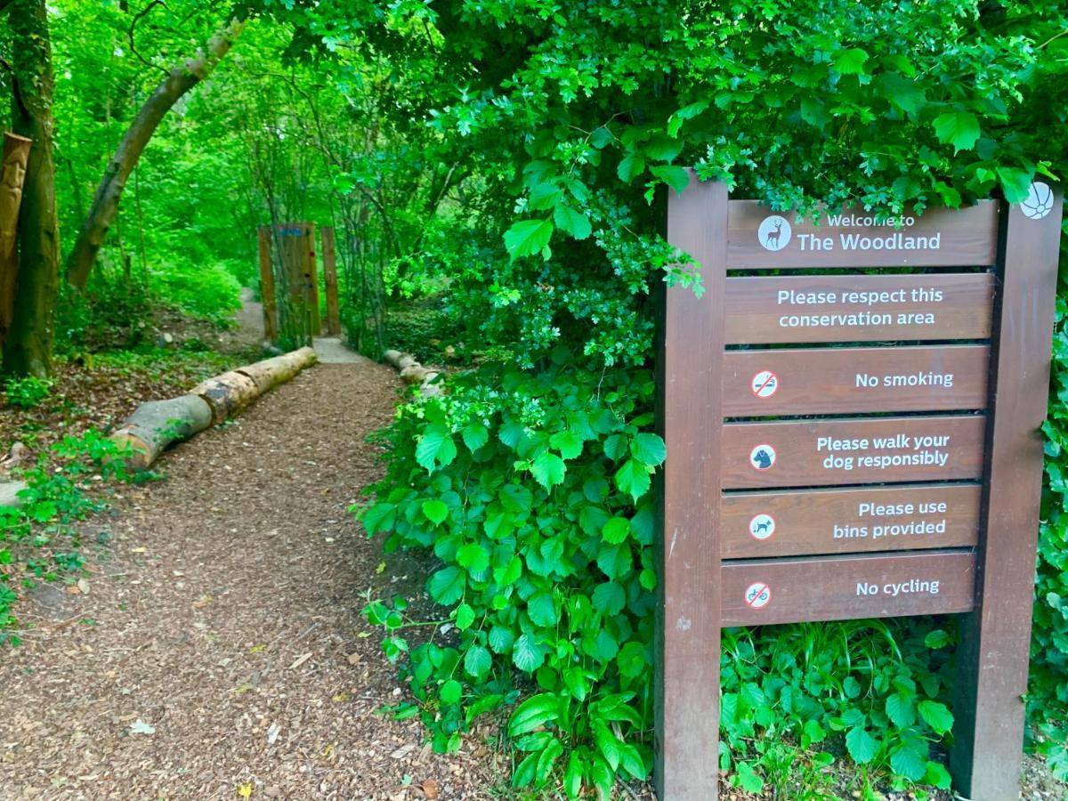 Forest Haven Sway Eksteriør billede
