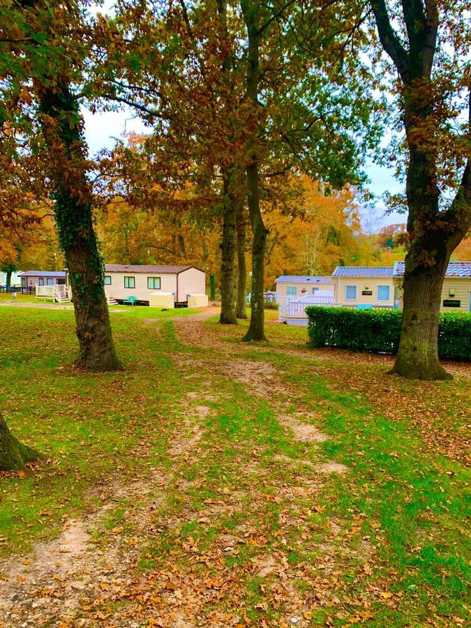 Forest Haven Sway Eksteriør billede